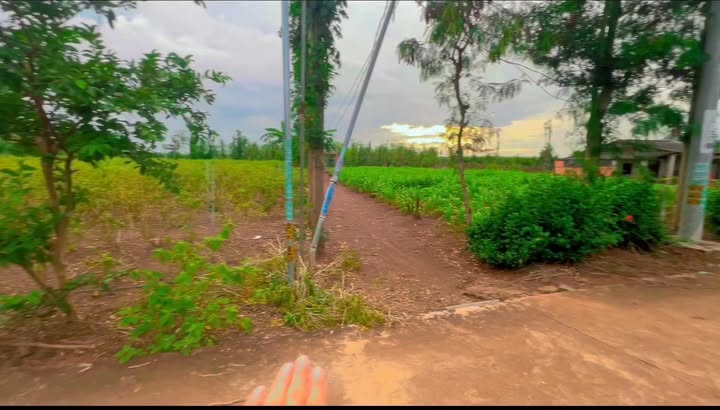 Đất thổ cư 1651m² tại Xuân Đông, Cẩm Mỹ - Giá chỉ 2 tỷ, đầy tiềm năng!