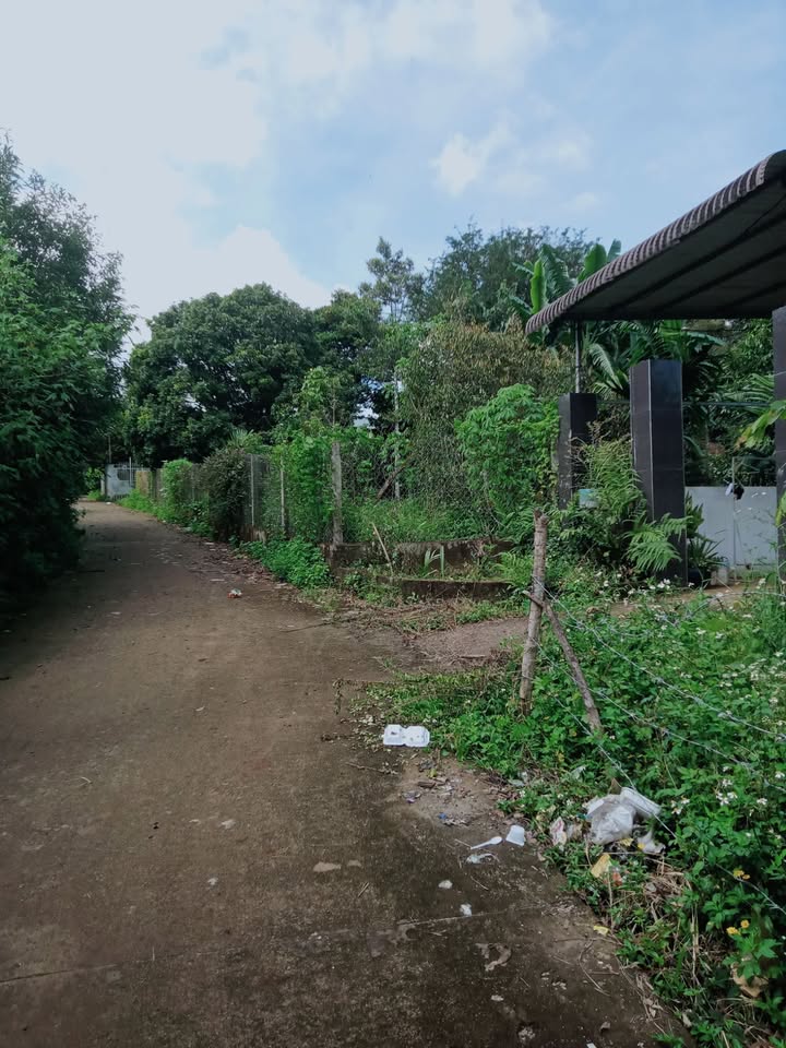 Đất nền thổ cư 300m² tại Phú Hòa, Chư Păh - Giá chỉ 400 triệu!