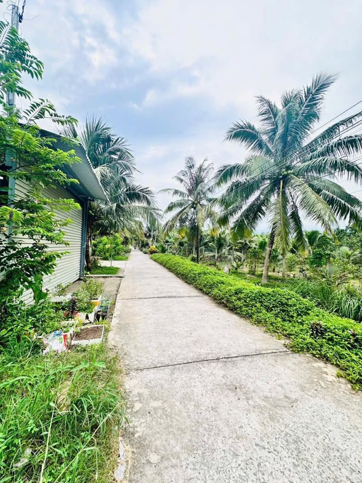 Đất nền Hữu Định, Châu Thành, Bến Tre 100m² giá 750 triệu - Cơ hội đầu tư hấp dẫn!