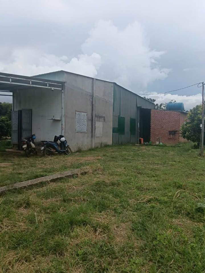 Farm 1ha tại Xuân Phú, Ea Kar, Đắk Lắk - Giá chốt 2.5 tỷ!