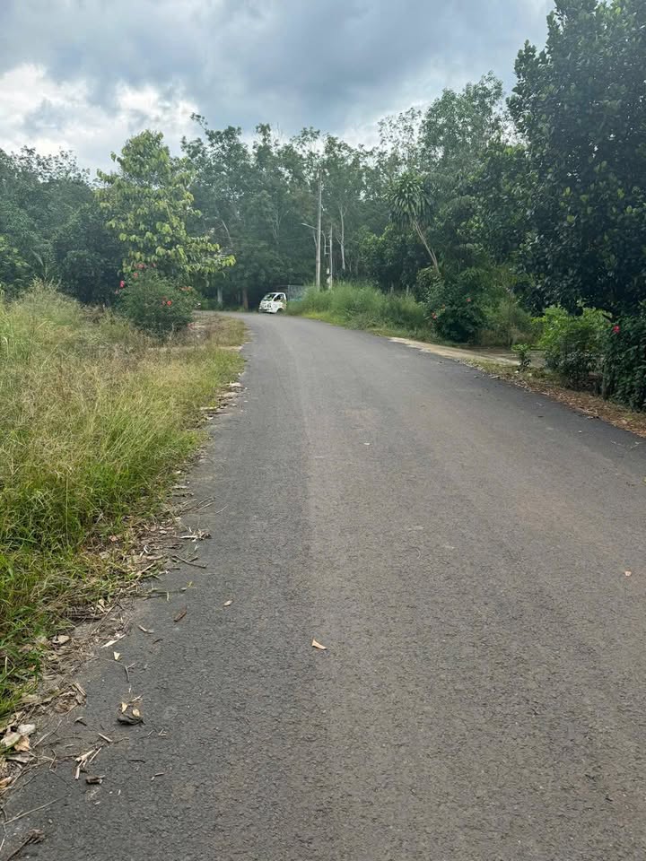 Đất mặt tiền đường An Long, Phú Giáo 1468m² chỉ 3 tỷ - Sổ đỏ chính chủ!