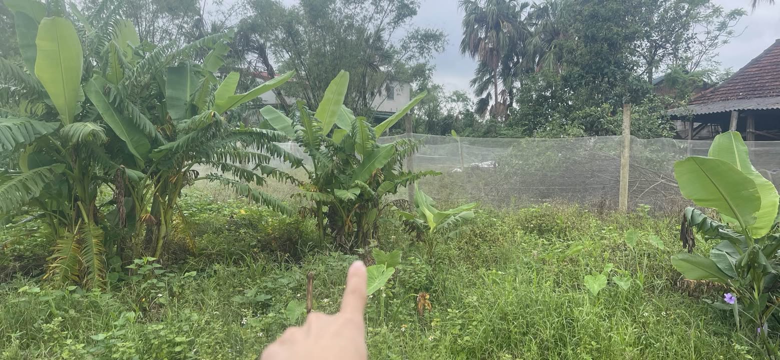 Đất kinh doanh Cửa Lò 95m² giá thỏa thuận - Mặt tiền đường Lê Duẩn rộng rãi!