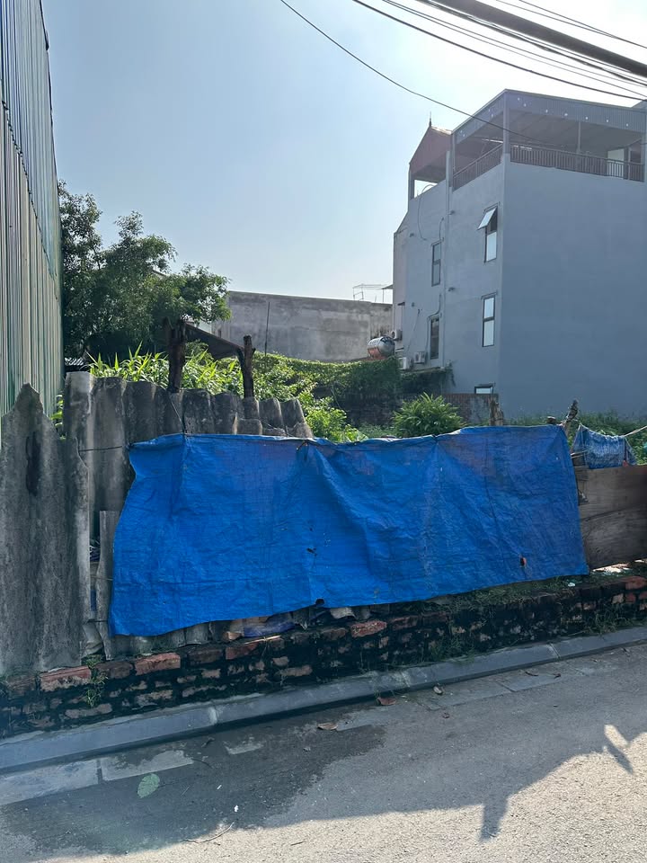 Đất thổ cư Kim Chung Đông Anh 50m² giá 3 tỷ - Pháp lý sạch, xe ô tô vào đất!