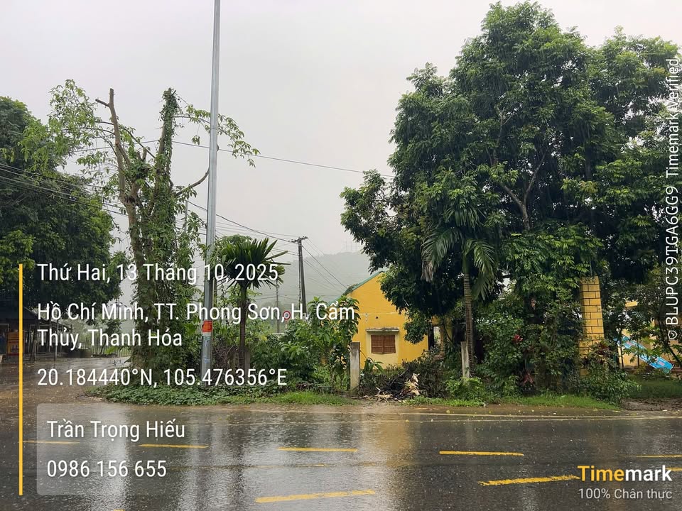 Đất đấu giá 870m² tại xã Cẩm Sơn, huyện Cẩm Thủy - Sổ đỏ chính chủ, giá khởi điểm chỉ 4 tỷ!