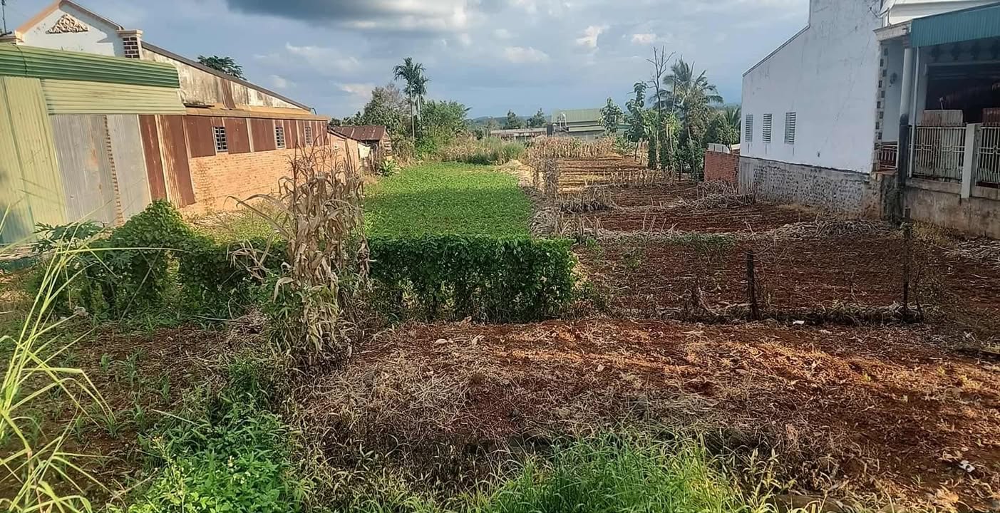 Đất nền Quốc lộ 14A Đắk Mil 1320m² giá 2.365 tỷ - Cơ hội đầu tư hấp dẫn!