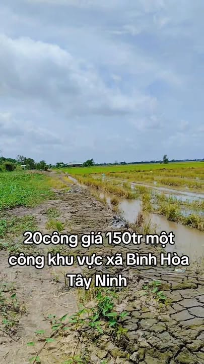 Đất nền 20 công tại xã Bình Hòa Trung, huyện Mộc Hóa, Long An - Giá 3 tỷ, mặt tiền 108m