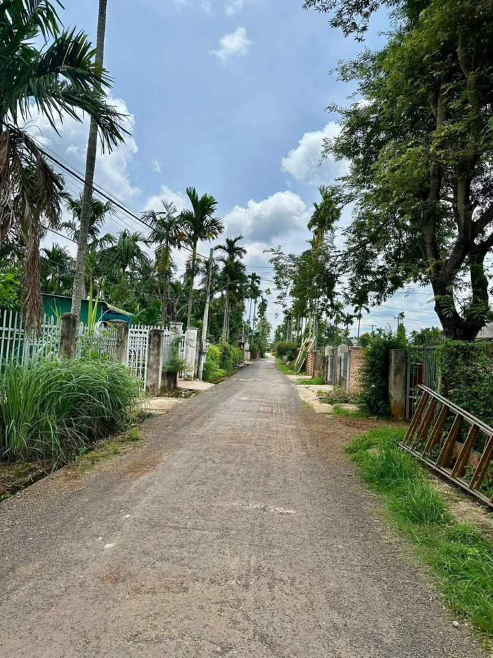 Đất nền Cư Kuin Đắk Lắk 266m² giá 822.9 triệu - Sổ đỏ chính chủ!