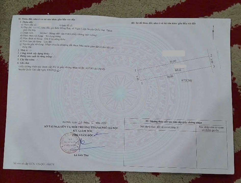 Đất Đấu Giá 60m² Thôn Đồng Bụt, Xã Kiều Phú - Vị trí đẹp gần ga Metro