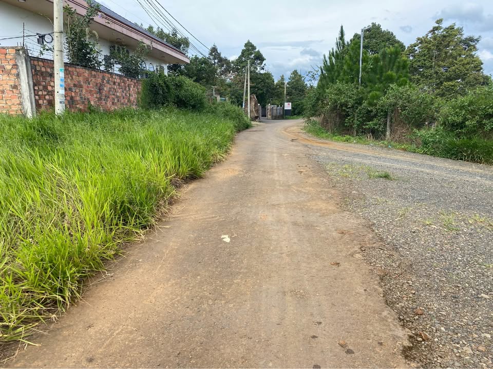 Đất thổ cư Lộc Sơn Bảo Lộc 250m² giá 2.6 tỷ - Vị trí đắc địa gần homestay