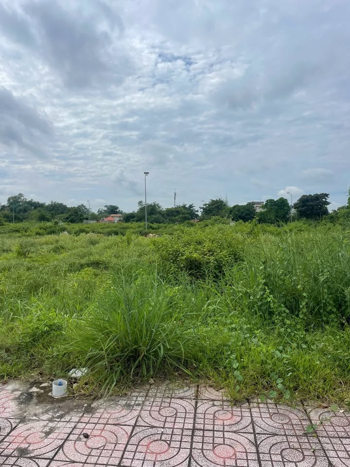 Đất thổ cư Củ Chi 110m² giá 1.15 tỷ - Mặt tiền sầm uất, pháp lý rõ ràng!