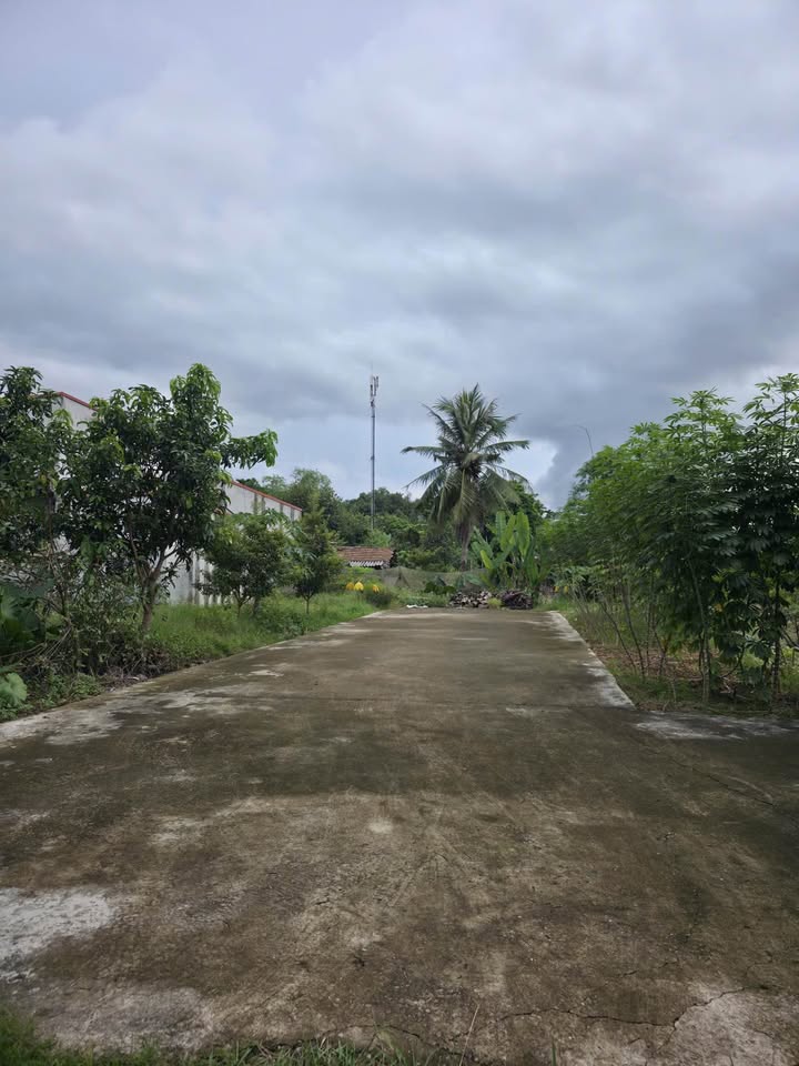 Đất nền phường Gia Sàng Thái Nguyên 139m² giá 1 tỷ - Đầu tư sinh lời ngay!