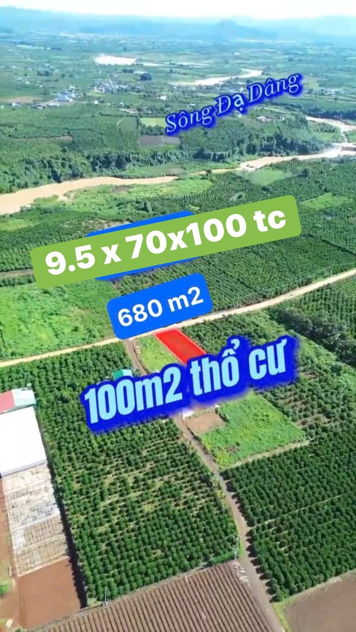 Đất nền Tân Hội, Đức Trọng 665m² giá chỉ 950 triệu - Cơ hội đầu tư hấp dẫn!