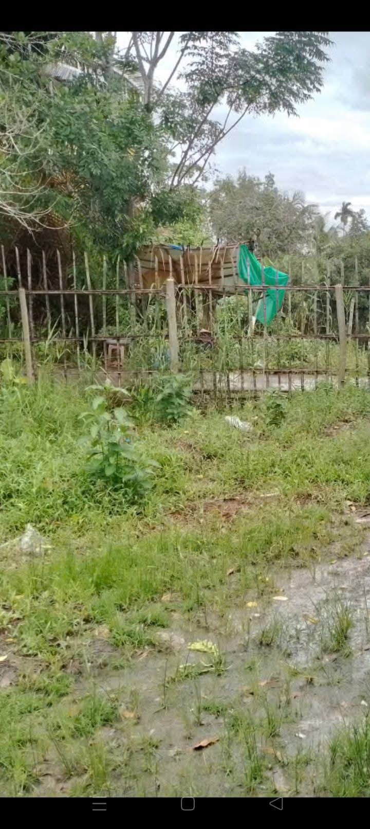 Đất nền Long Trường Phụng Hiệp 700m² giá chỉ 650 triệu - Cơ hội đầu tư tuyệt vời!