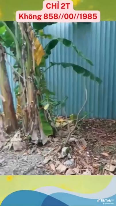 Đất nền 500m² tại Xóm Mới, Hóa An, Biên Hòa - Sổ hồng riêng, Giá chỉ 2 tỷ!