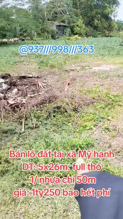 Đất thổ cư ấp Giồng Lớn, xã Mỹ Hạnh 130m² giá 1.25 tỷ - Sổ hồng chính chủ!