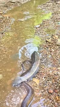 Bán gấp Townhouse Khu Biệt Thự Hồ Khe Mây 484m² - Giá chỉ từ 2 tỷ!