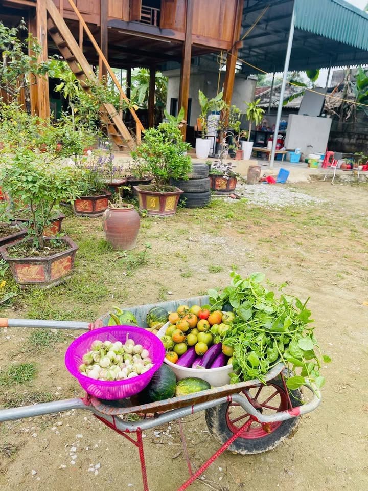 Đất nền Phường Đông Sơn, Thanh Hóa 130m² giá 2 tỷ - Gần chợ, tiện ích đầy đủ!