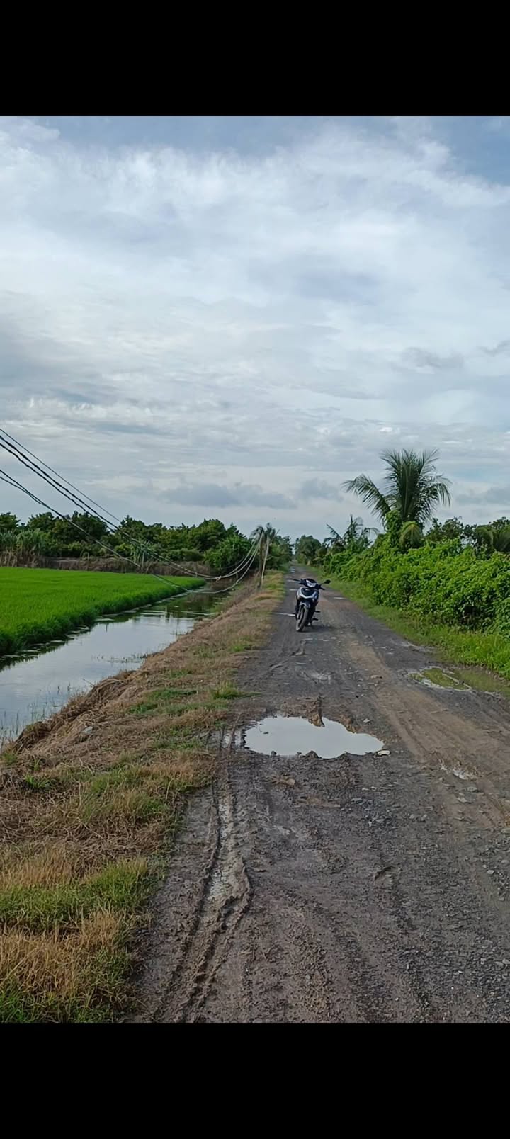 Đất nông nghiệp Tân Hiệp Thạnh Hóa 22,149m² giá 5 tỷ - Lợi nhuận từ sầu riêng và mít!