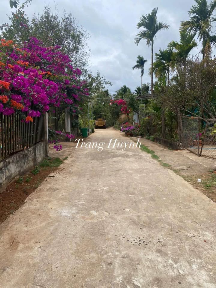 Đất nền Tân Lập Buôn Ma Thuột 192m² giá 990 triệu - Cơ hội đầu tư tuyệt vời!