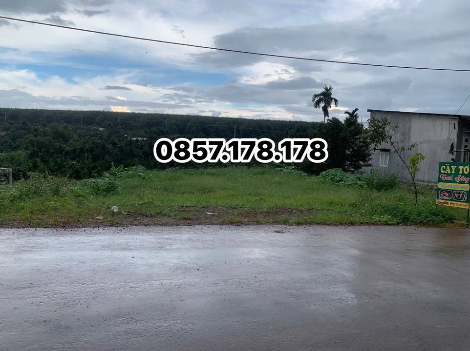 Đất mặt tiền Phú Lộc, Krông Năng 182m² giá 1.1 tỷ - Cơ hội vàng đầu tư!