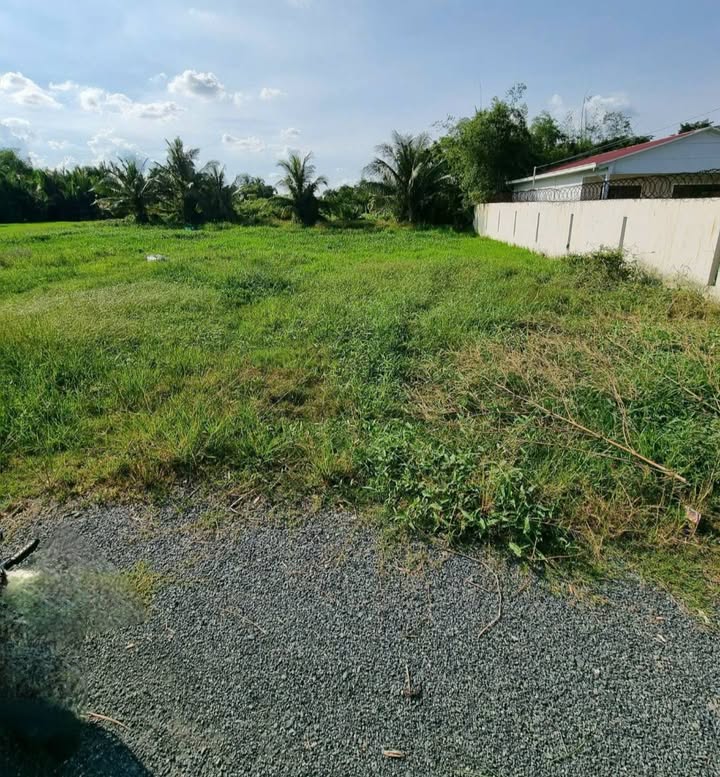 Đất nền mặt tiền Nguyễn Văn Châu, xã Vàm Cỏ, 122m² giá 550 triệu - Vị trí đẹp, đông dân cư!