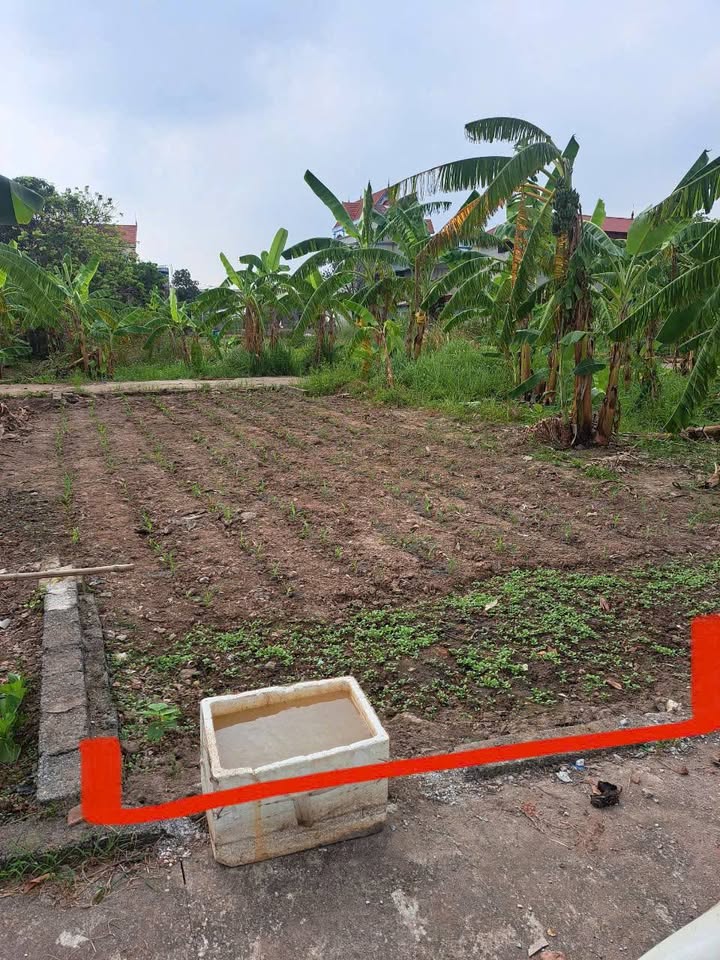 Đất nền khu phố Xóm 2, xã Chương Dương 75m² - Giá thỏa thuận, vị trí đẹp!