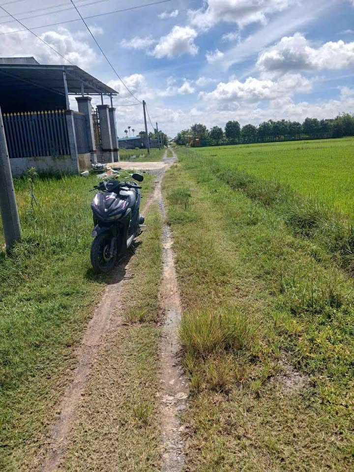 Đất nền 2002m² tại Hậu Nghĩa, Long An - Giá chỉ 2.2 tỷ, sổ hồng riêng!