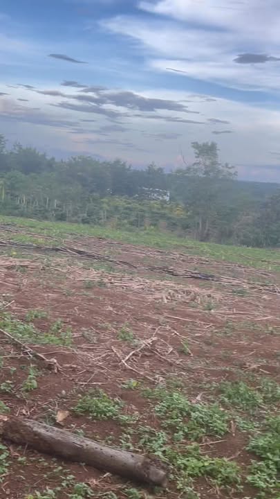 Đất nền Ea Blang 10.000m² giá 2.54 tỷ - Đầu tư sinh lời, vị trí đẹp!