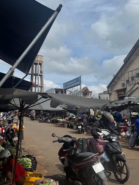 Đất nền đường Nguyễn An Ninh, Buôn Hồ 480m² - Sổ đỏ chính chủ, Giá tốt!