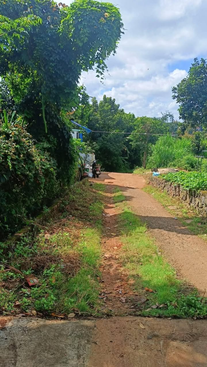 Đất nền chính chủ tại phường An Bình, Buôn Hồ 150m² - Giá chỉ 1.1 tỷ