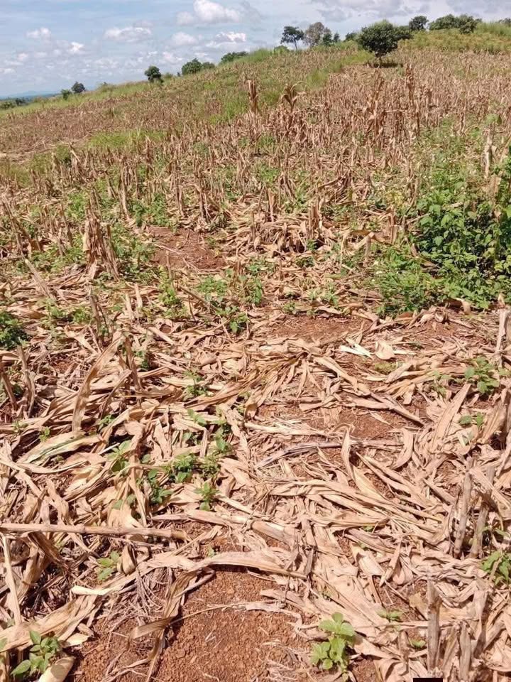 Đất nền Đắk R'La 15ha giá chỉ 5.7 tỷ - Cơ hội đầu tư tuyệt vời!