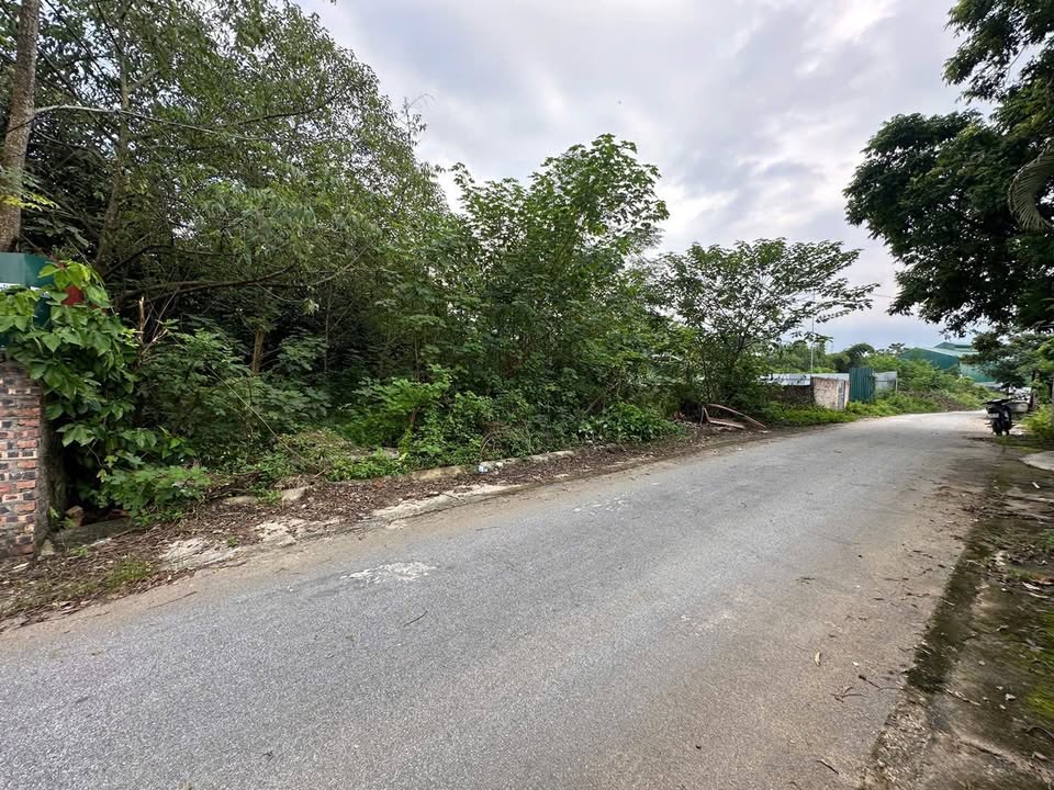 Đất nền Định Trung Vĩnh Yên 90m² chỉ 800 triệu - Cơ hội đầu tư tuyệt vời!