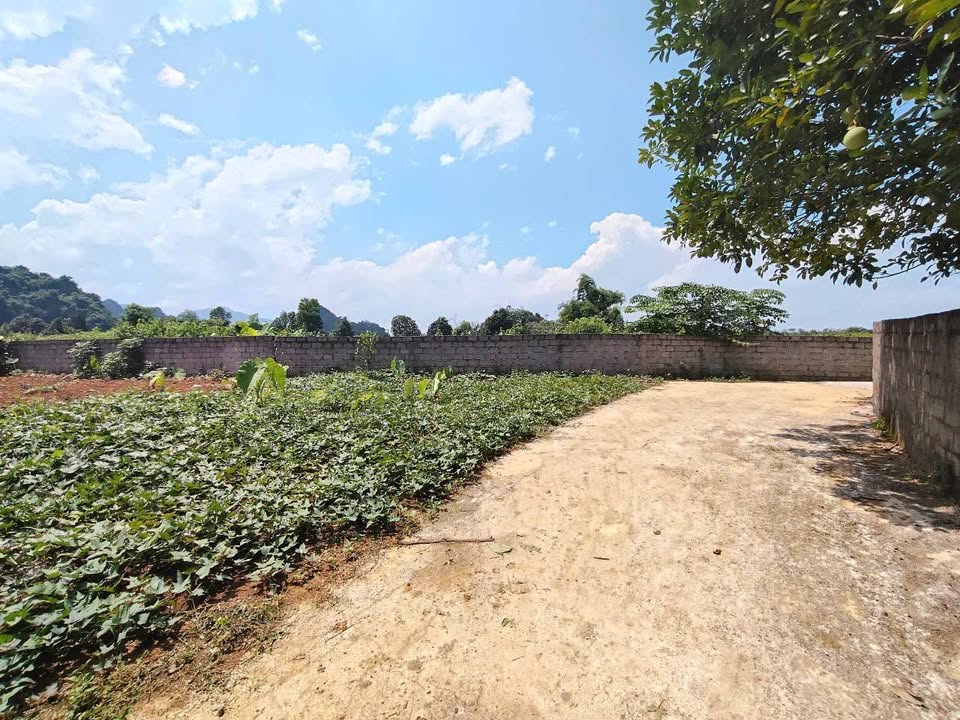 Lô đất 125m² tại Cao Dương, Lương Sơn - Giá chỉ 500 triệu, đầu tư sinh lời cao!