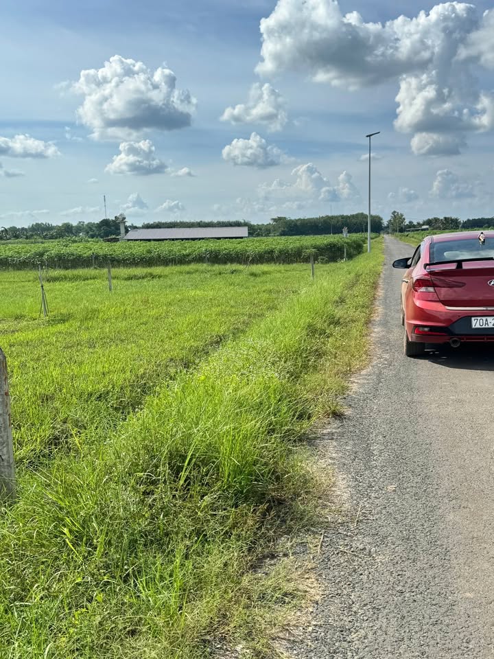 Đất thổ cư xã Phan Dương Minh Châu 1000m² - Mặt tiền nhựa, giá thỏa thuận!