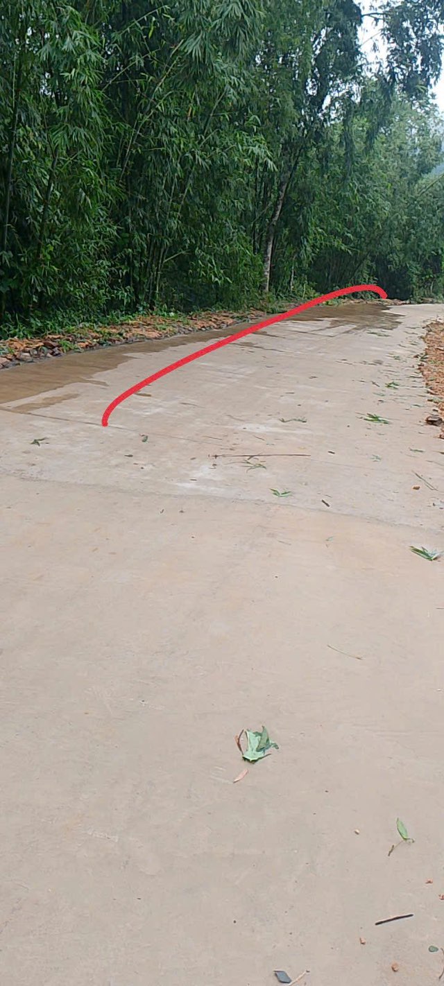 Đất nền Vân Am Ngọc Lặc 4000m² - Đường bê tông 72m, giá thỏa thuận hấp dẫn!