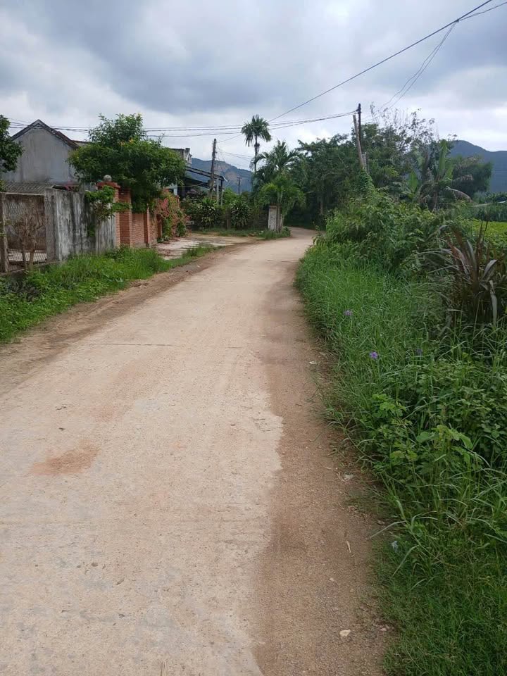 Đất thổ cư Phước Mỹ Quy Nhơn 100m² giá chỉ 2xx triệu - Cơ hội đầu tư hiếm có!