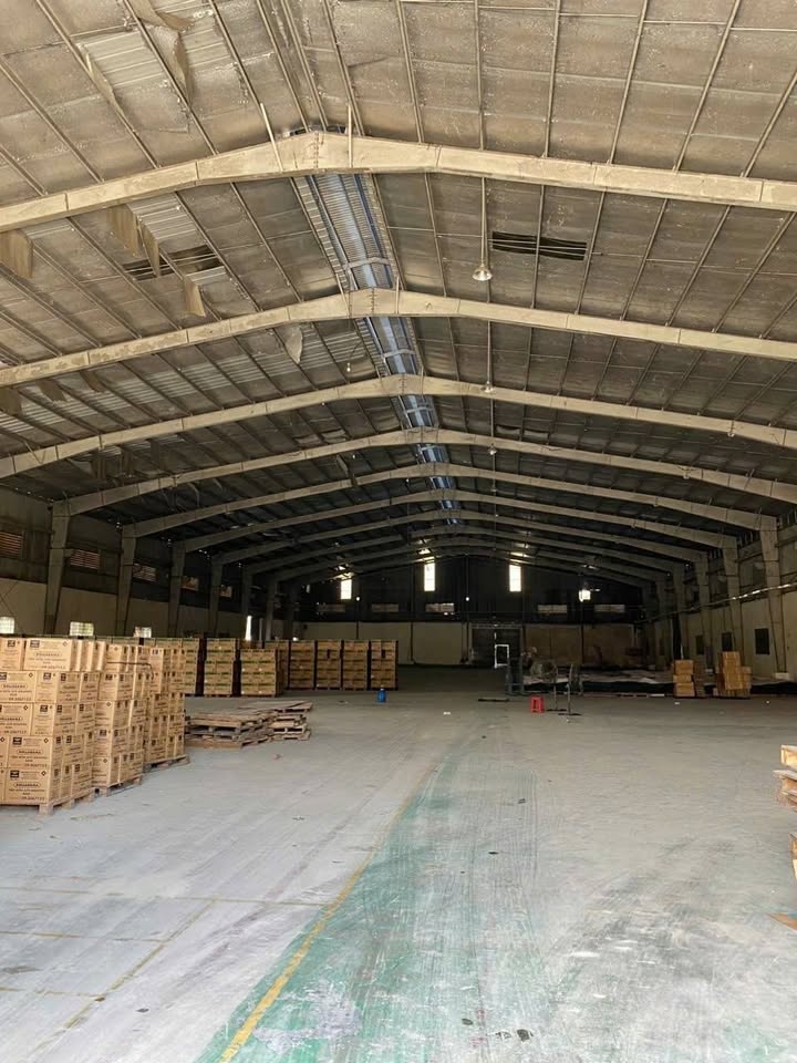 Kho xưởng mặt tiền đường Trần Đại Nghĩa, Tân Nhựt, 11.000m² giá 175 tỷ - Cơ hội đầu tư hấp dẫn!