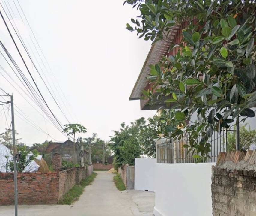 Đất nền TDP Mai Hạ, Từ Sơn, Bắc Ninh 100m² giá chỉ 800 triệu - Cơ hội đầu tư hấp dẫn!