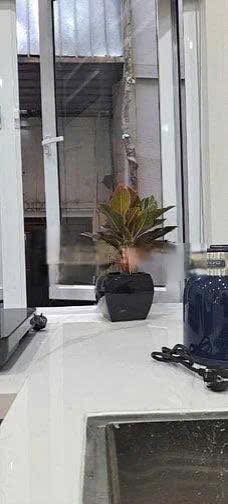 Nhà riêng cho thuê tại ngõ 28 phố Ông Ích Khiêm, quận Ba Đình 25m² giá 10.5 triệu - Không gian sống lý tưởng!