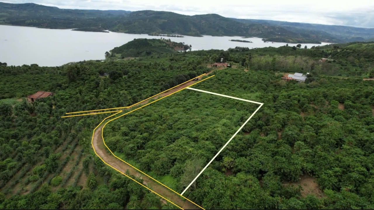 Đất Cà Phê Tân Thanh 2770m² giá 1.65 tỷ - View đẹp, sổ hồng riêng!