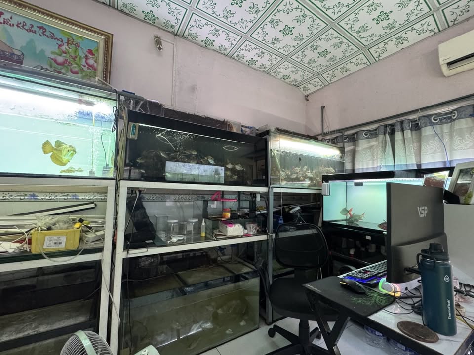 FrontHouse mặt tiền Đường Số 9, Linh Xuân, Thủ Đức 82m² giá 5.7 tỷ - Kinh doanh thuận lợi!