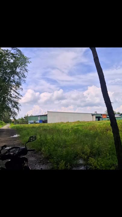 Đất cây An Tịnh, Trảng Bàng 5600m² - Giá thỏa thuận hấp dẫn!