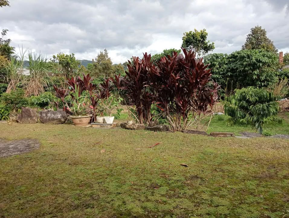 Đất thổ cư 3 sào 200m² Phường 3 Bảo Lộc giá chỉ 2.8 tỷ - Lô góc mặt đường thuận lợi!