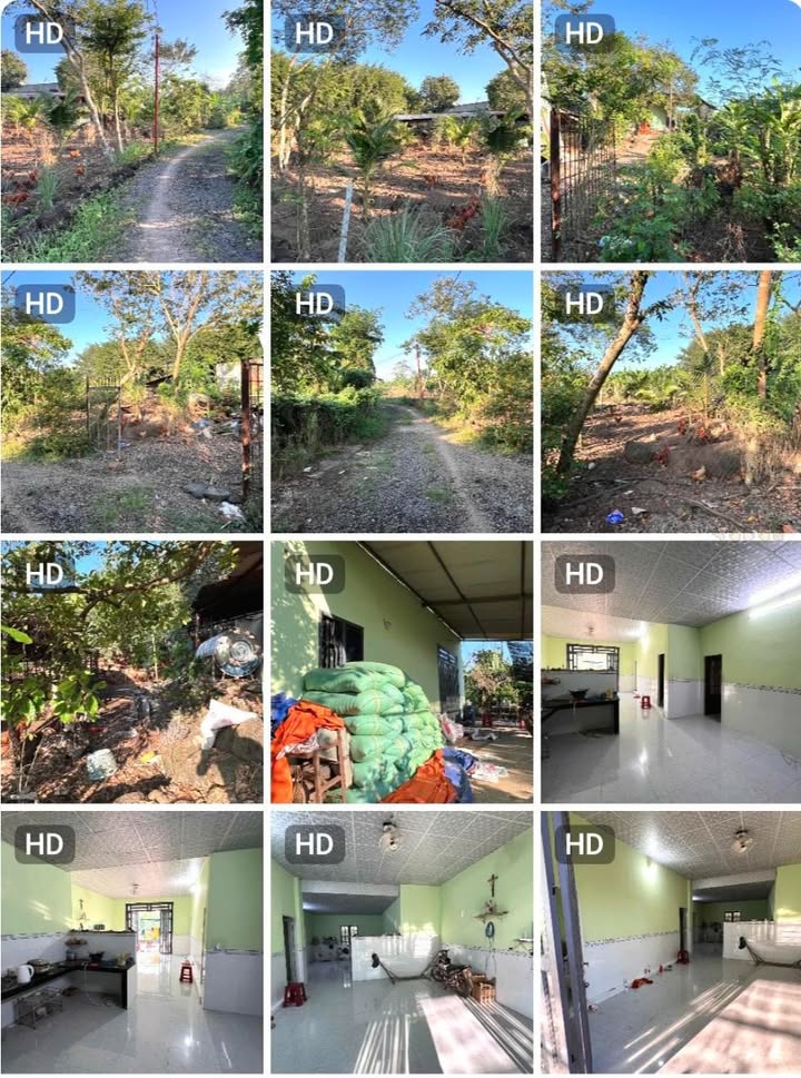 Bán đất vườn xã Cây Gáo - Trảng Bom 3.818,1m² giá chỉ 1.95 tỷ - Sổ hồng chính chủ!