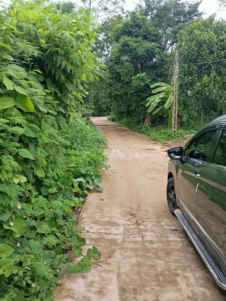 Đất nền xã Dương Thành, Phú Bình 300m² giá chỉ 300 triệu - Cơ hội đầu tư hiếm có!