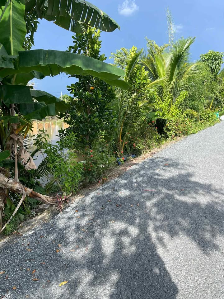 Đất thổ cư 100m² đường nhựa 5x42 tại Phú An, Cai Lậy - Giá chỉ 670 triệu!