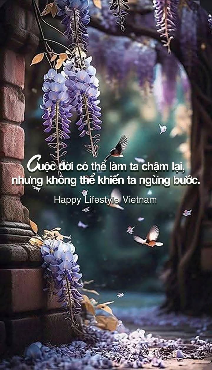 Đất thổ cư Khu phố 8, Tam Quan 132m² giá 700 triệu - Cơ hội đầu tư tuyệt vời!