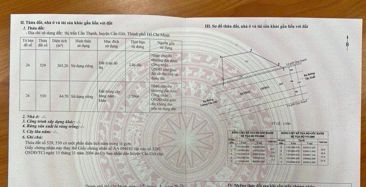 Đất nền mặt tiền đường Giồng Ao, Cần Giờ 334m² - Giá 12 tỷ, cơ hội đầu tư hấp dẫn!