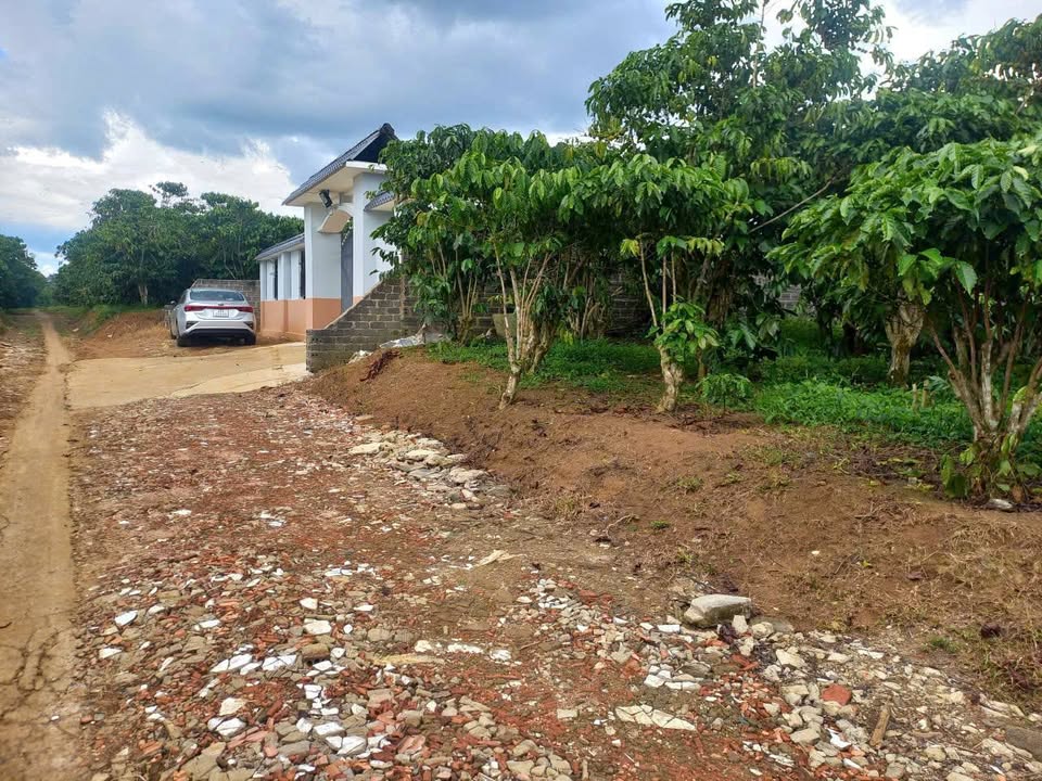 Đất nền biệt thự Lộc An, Bảo Lâm 232m² giá 550 triệu - Sổ đỏ chính chủ!