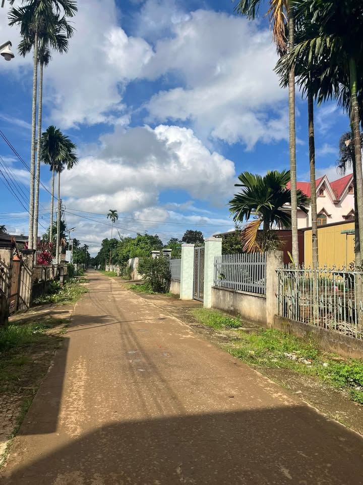 Đất nền khu vực Thôn 8, xã Ea Tiêu, 126m² giá chỉ 1.26 tỷ - Nhanh tay sở hữu!